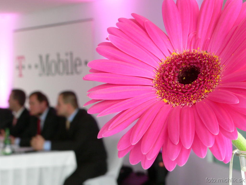 20050411105200 Magentový kvietok pri rebrandingu EuroTelu