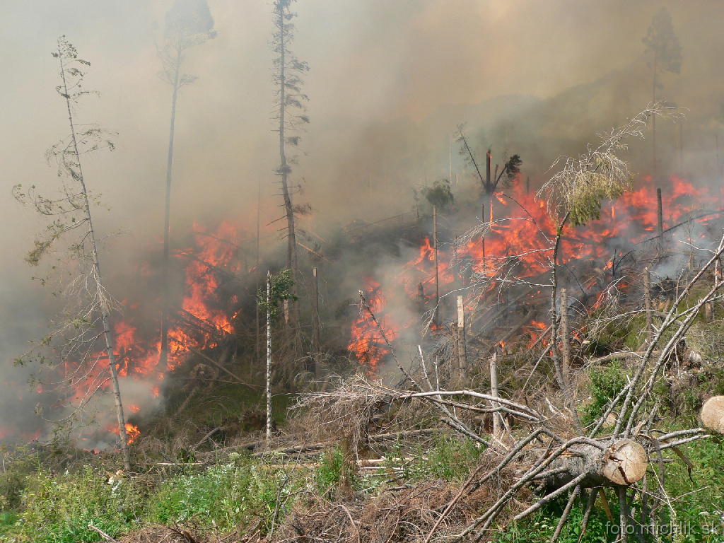 p1090903 Tatranská Polianka (13:40)