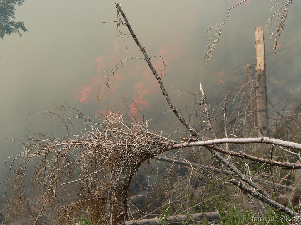 p1090913 Tatranská Polianka (13:40)